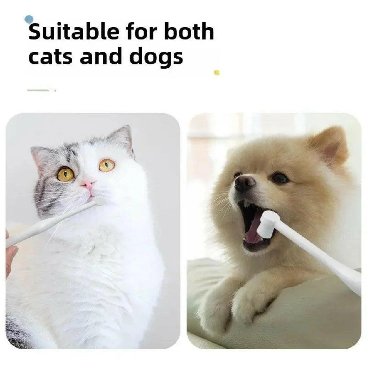 Round Head Pet Toothbrush