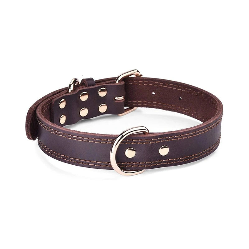 Leather Dog Collar