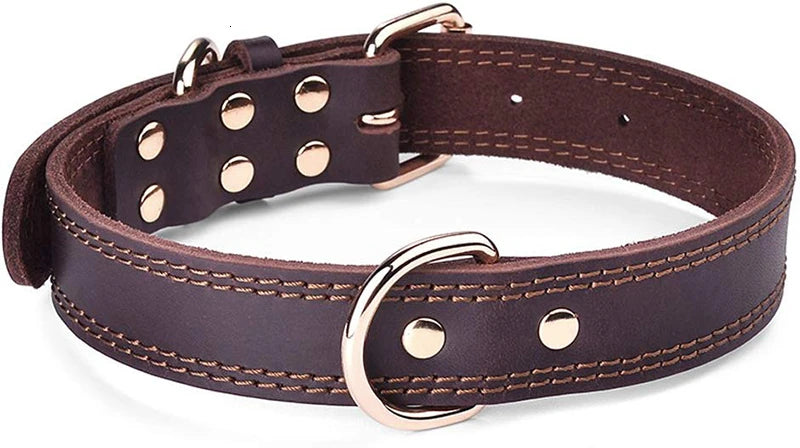 Leather Dog Collar