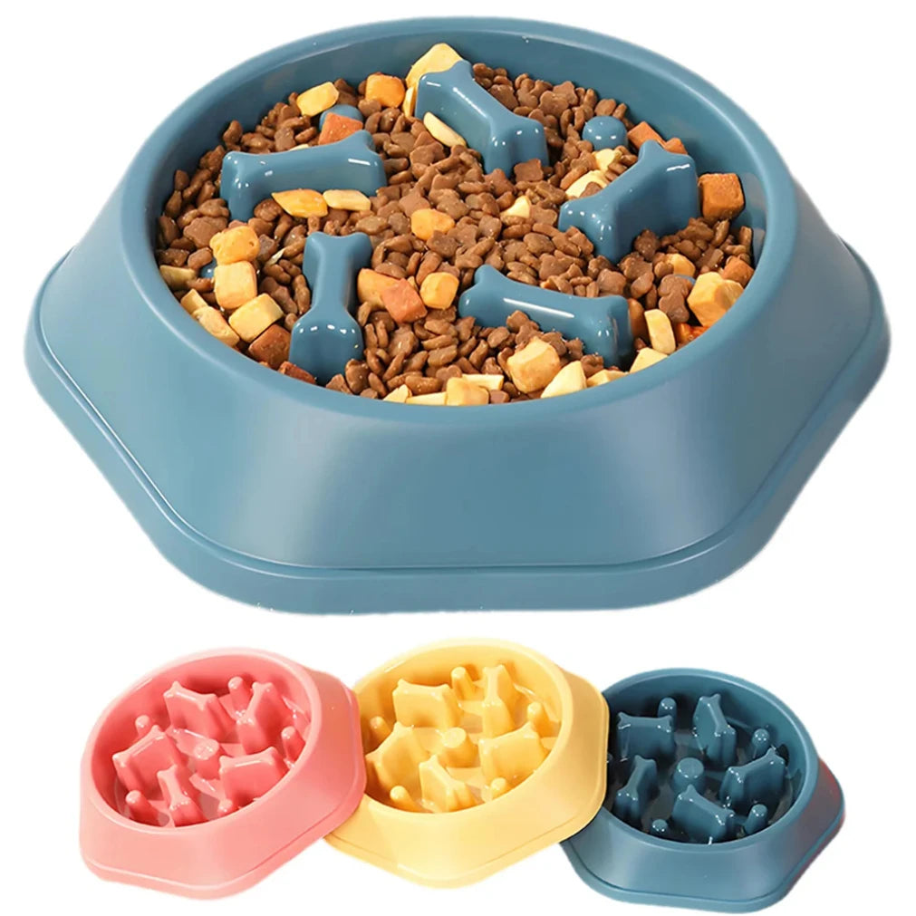 Slow Feeder Dog Bowl.