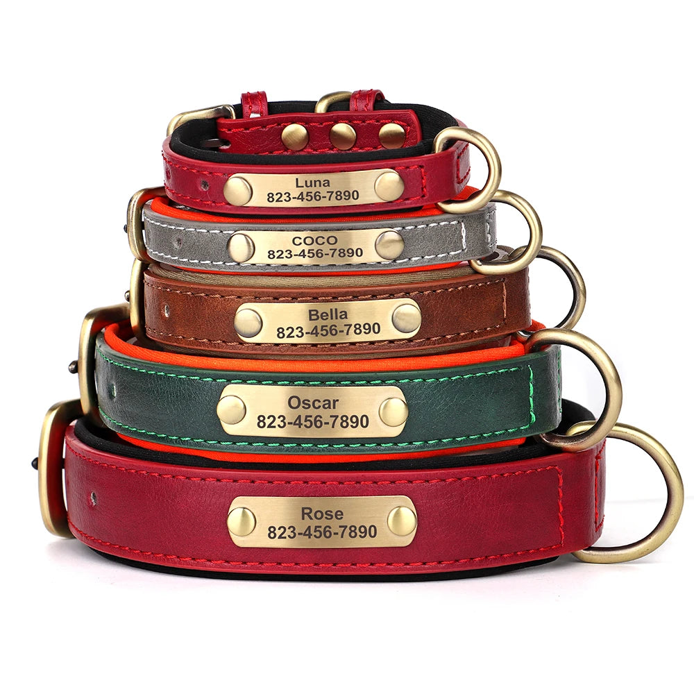 Personalized Dog Collar with ID Tag
