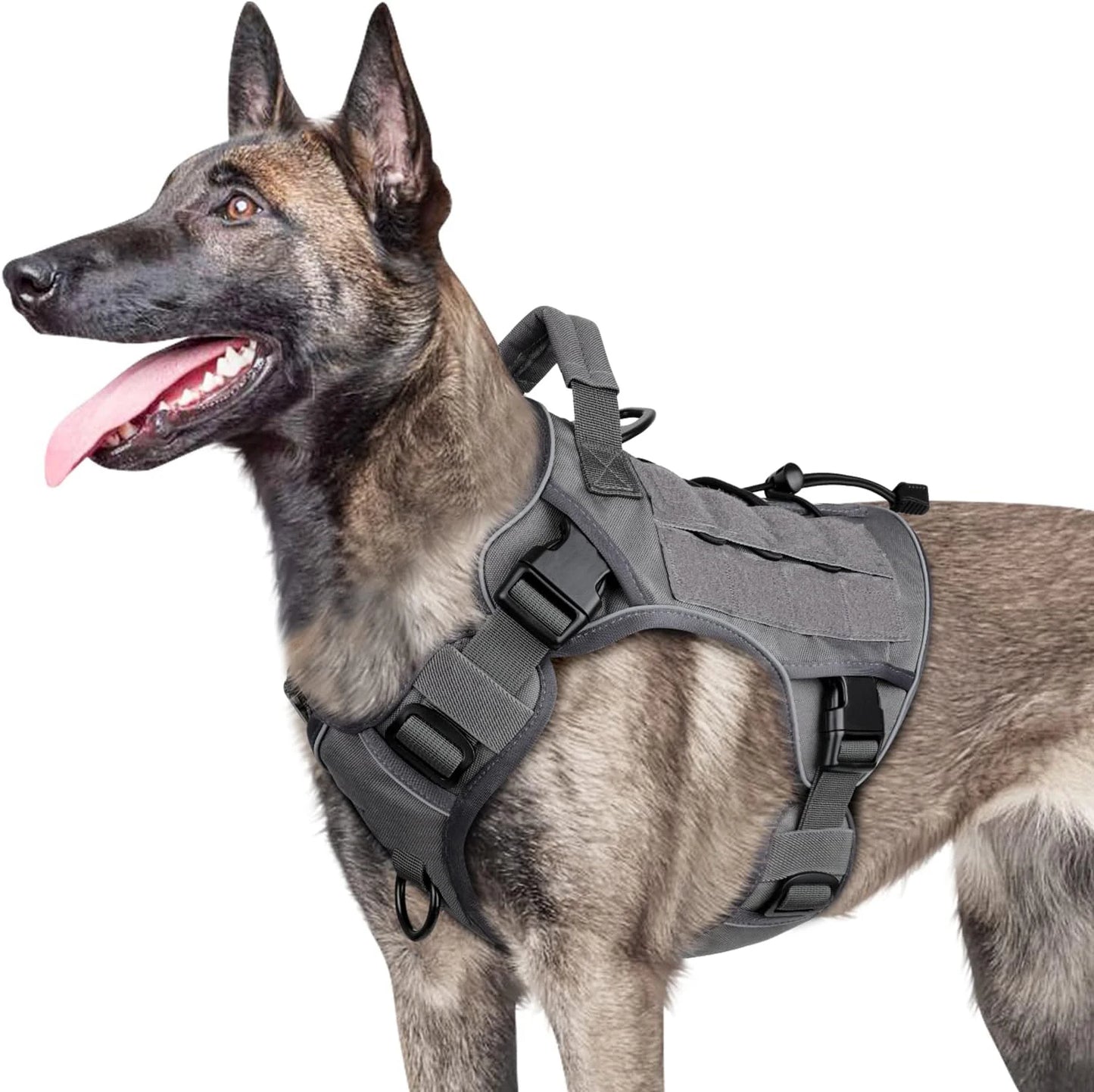 Tactical Dog Harness.