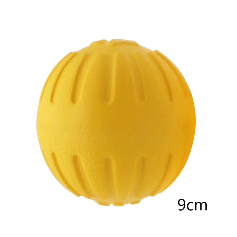 Durable Dog Flying Ring.