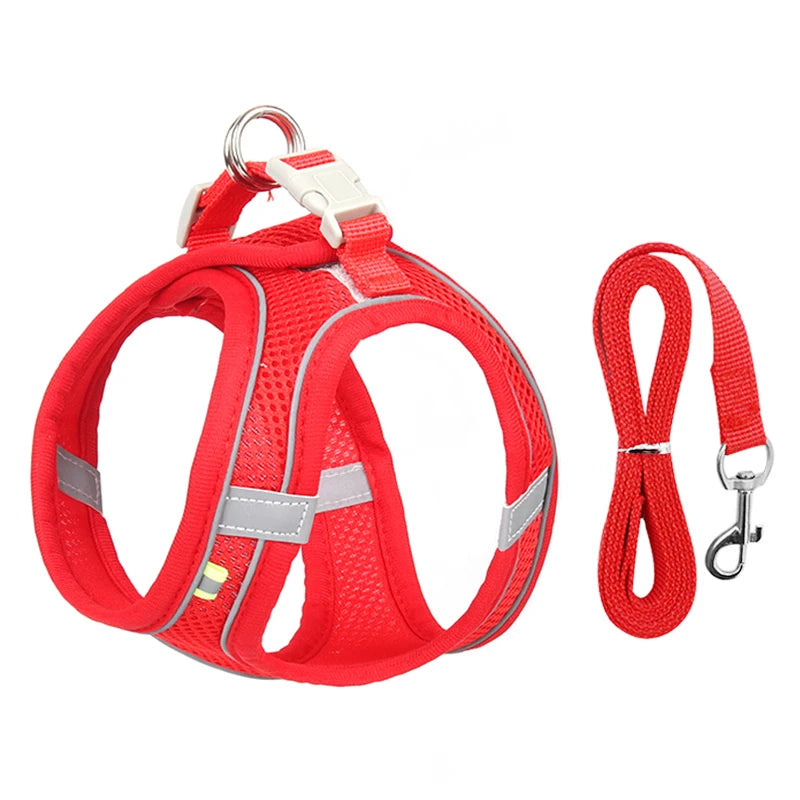 Small Dog Walking Harness