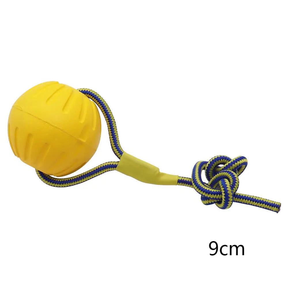 Durable Dog Flying Ring.