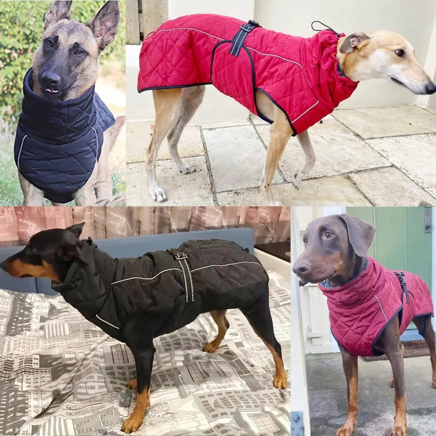 Waterproof Dog Jacket.