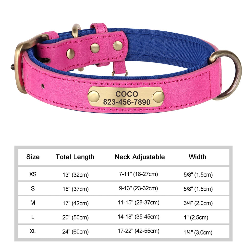 Personalized Dog Collar with ID Tag