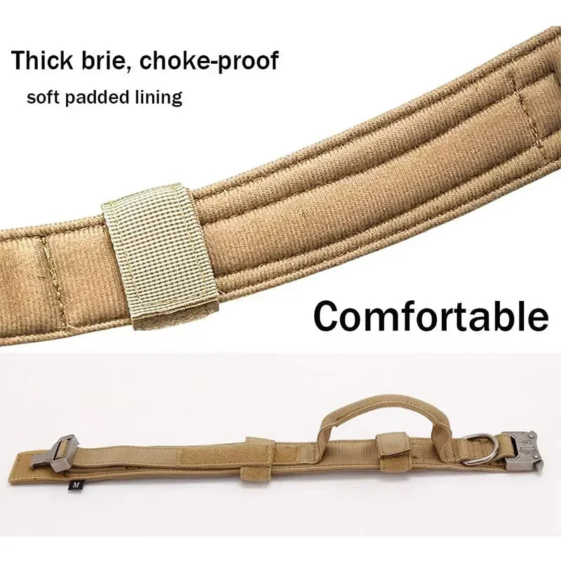 Strong Dog Collar with Traction Handle