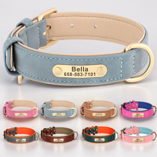 Personalized Dog Collar with ID Tag