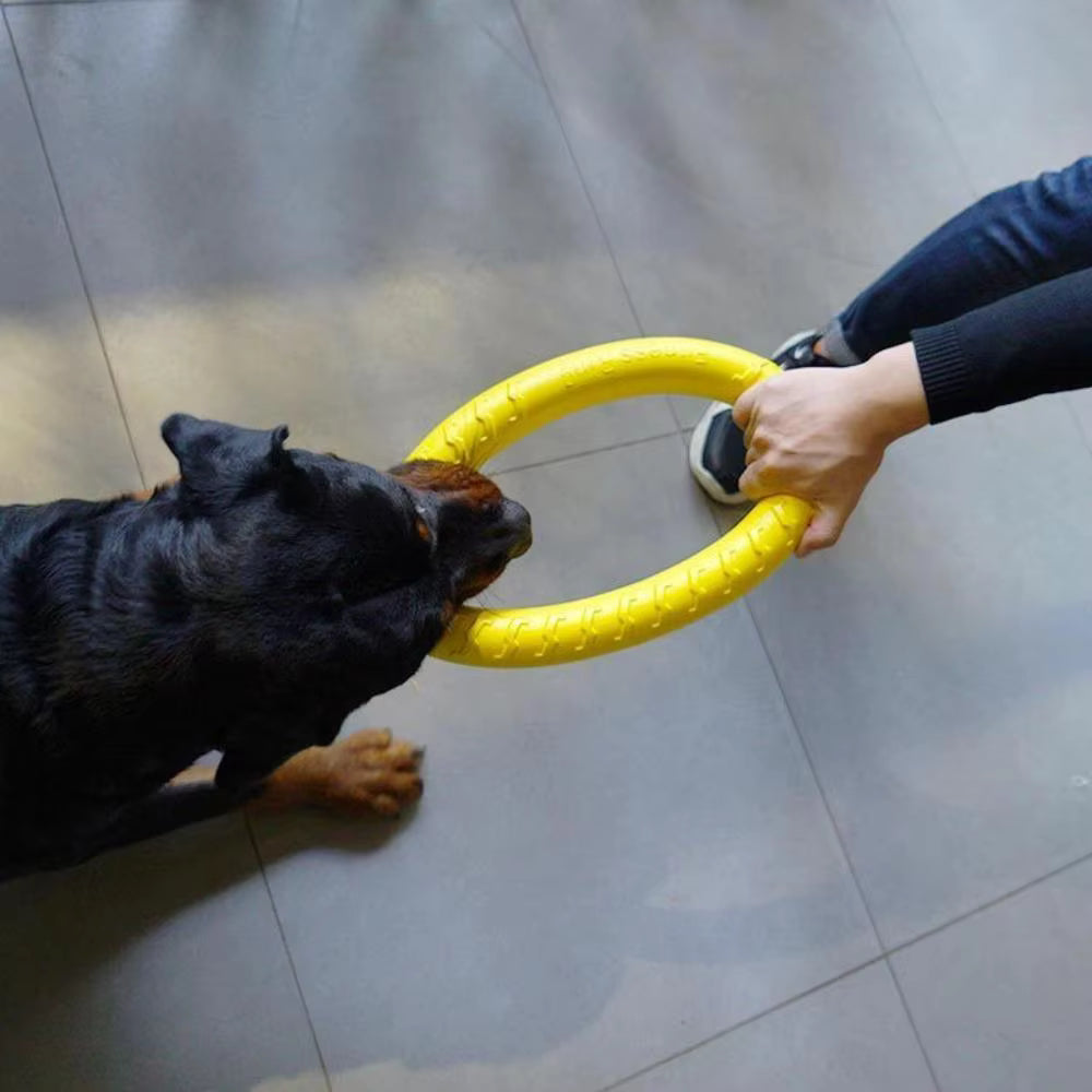 Durable Dog Flying Ring.