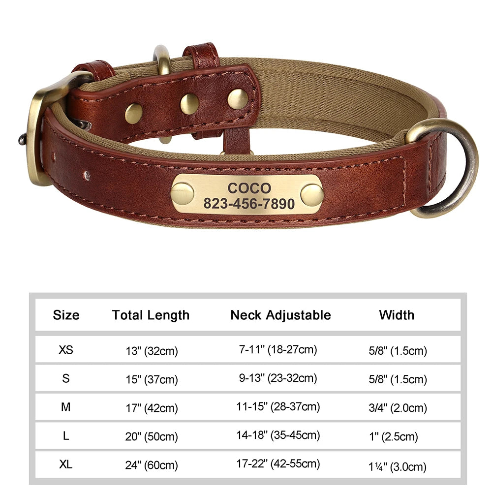 Personalized Dog Collar with ID Tag