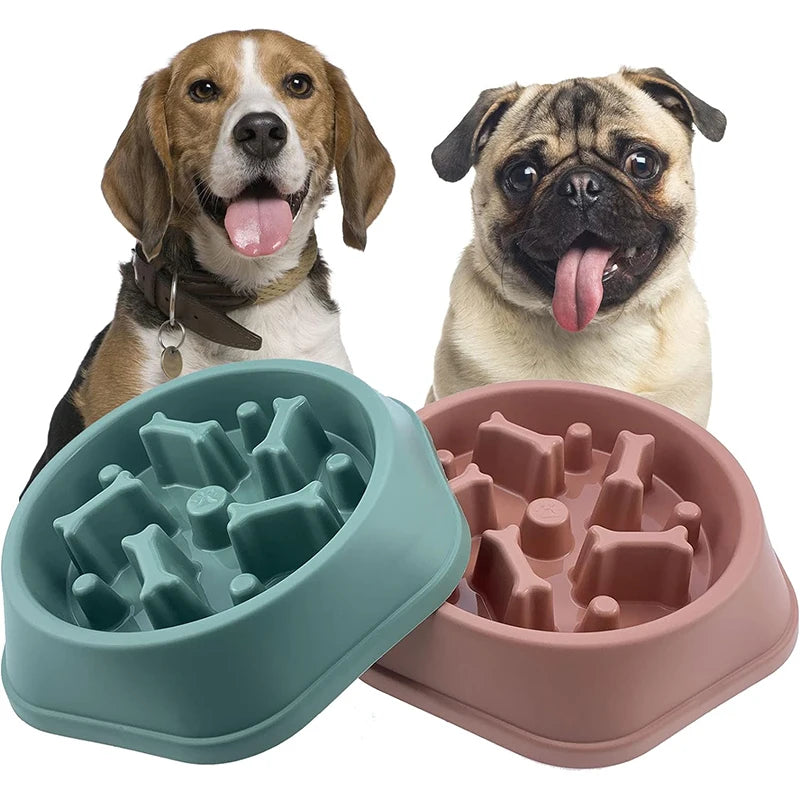 Slow Feeder Dog Bowl.