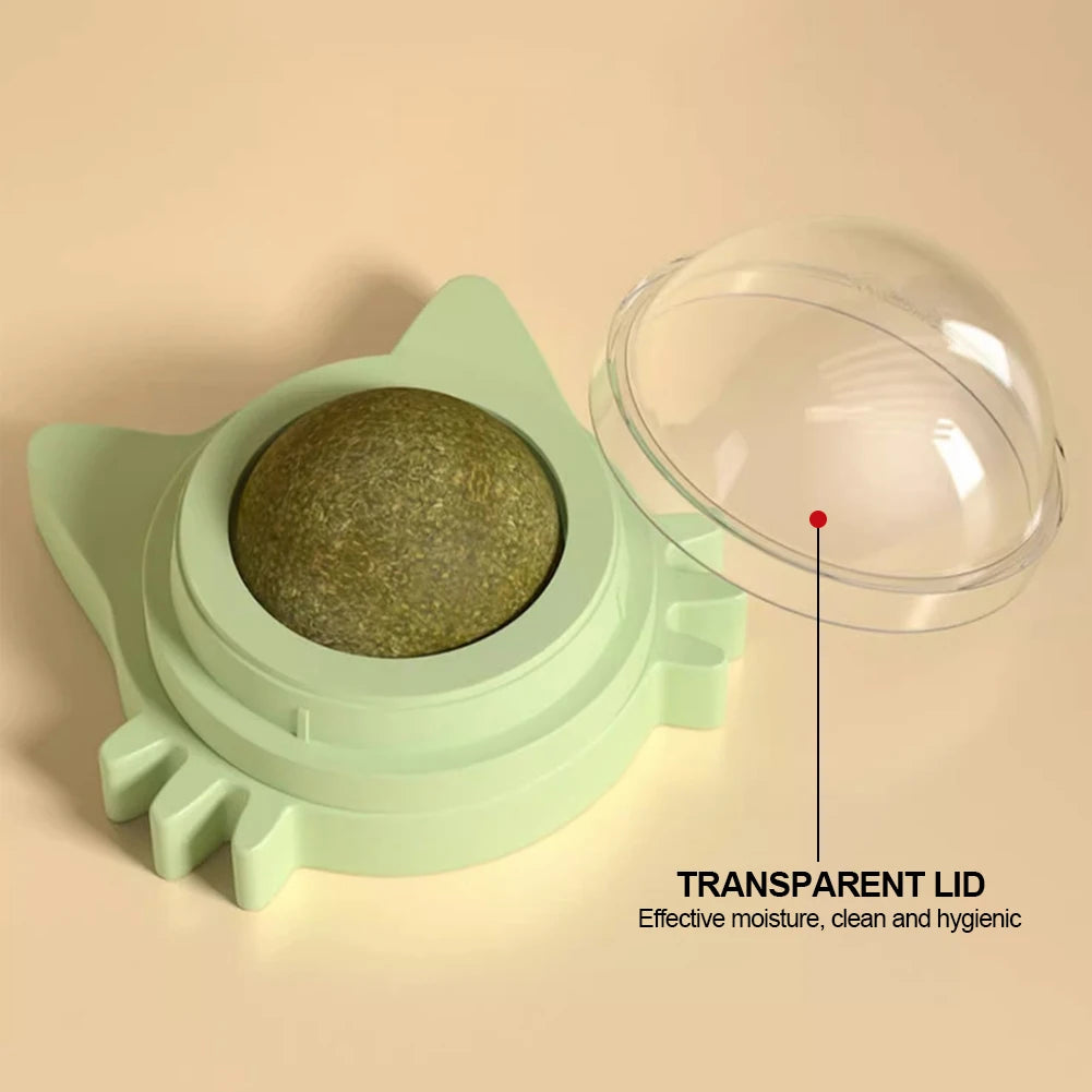 Catnip Lollipop Cat Treat