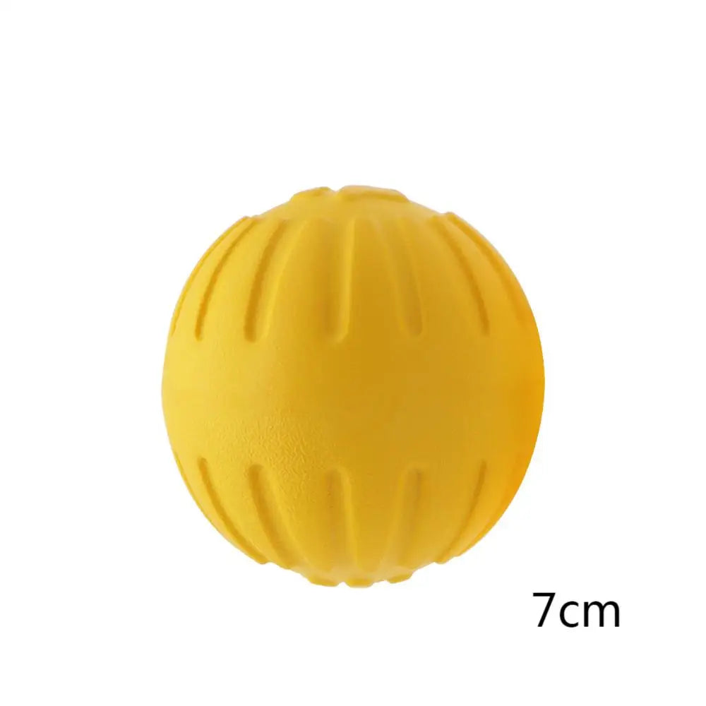 Durable Dog Flying Ring.