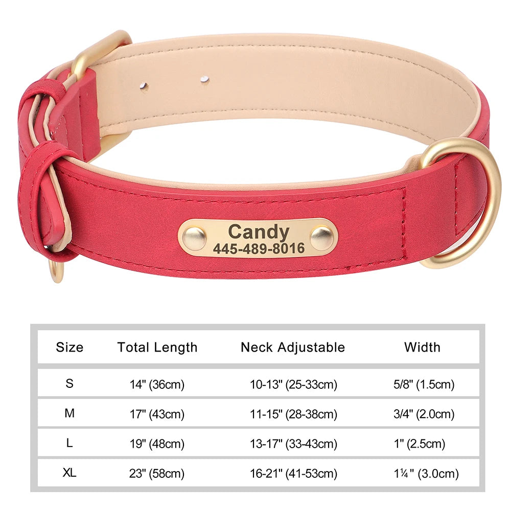 Personalized Dog Collar with ID Tag
