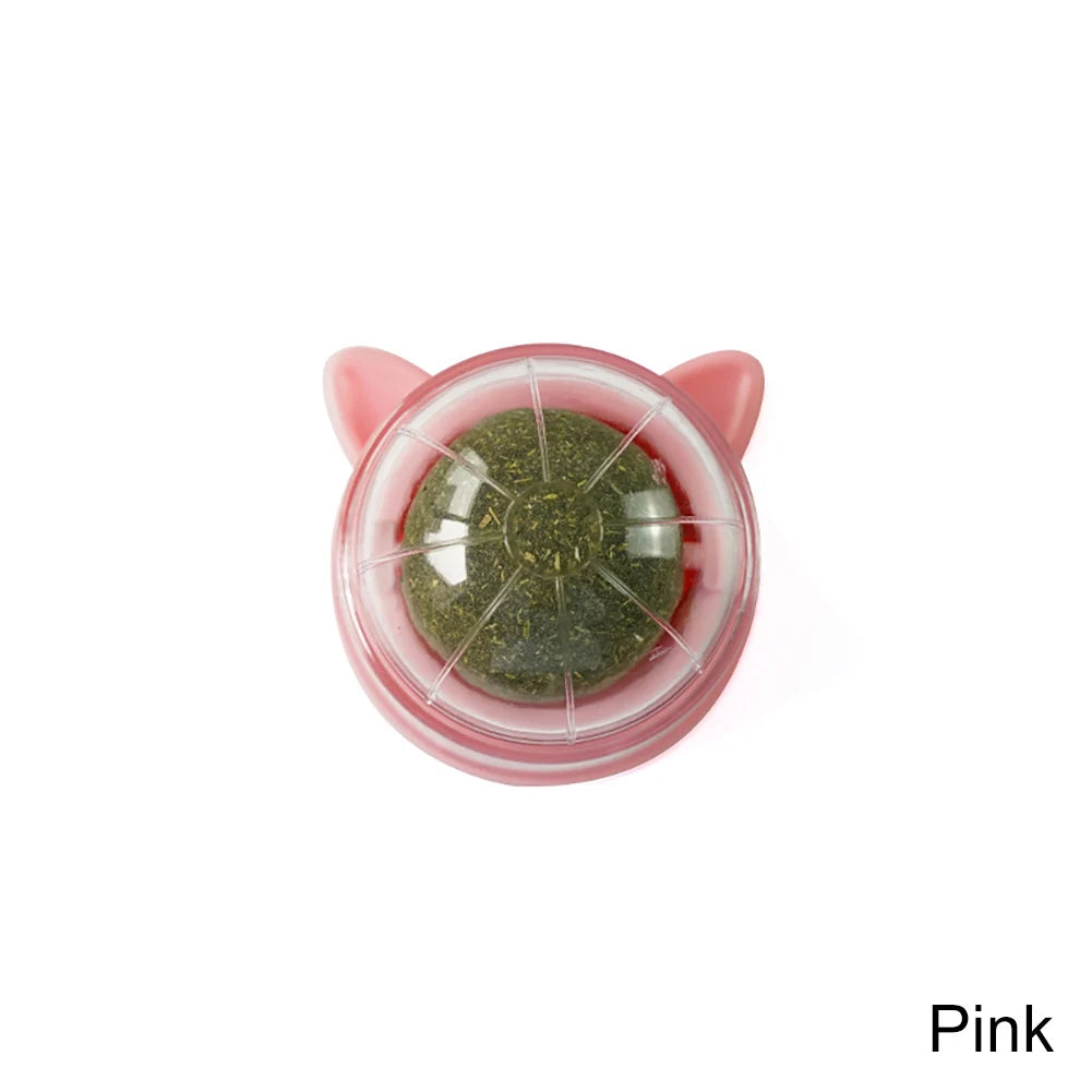 Catnip Lollipop Cat Treat