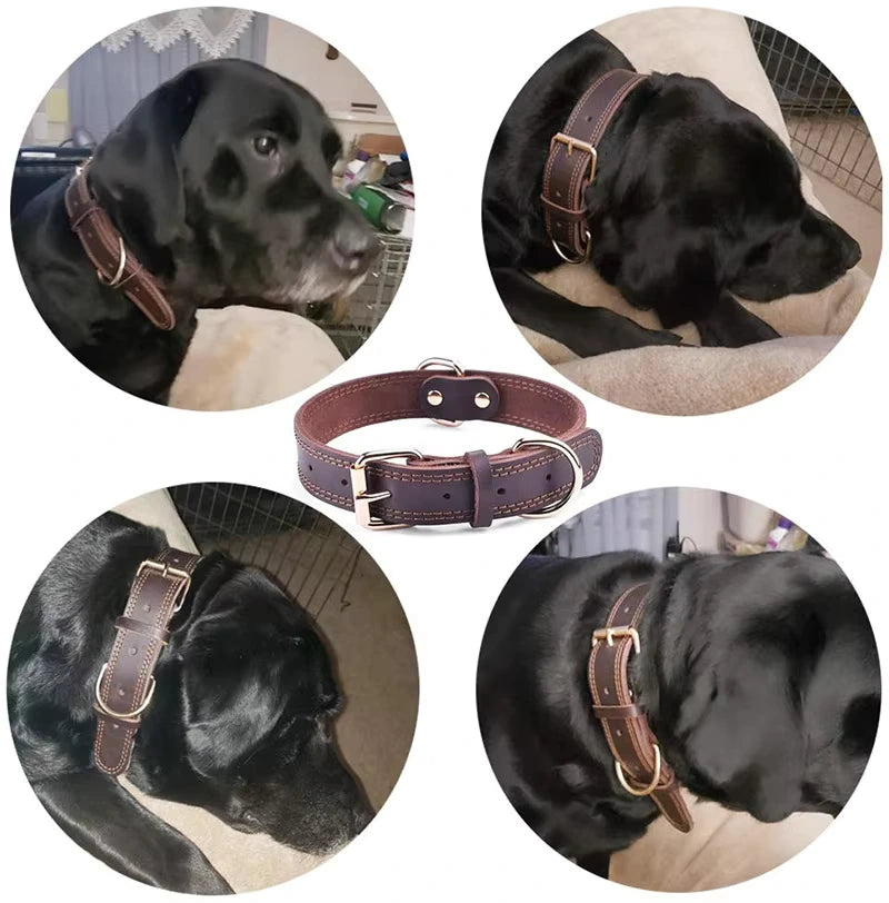 Leather Dog Collar