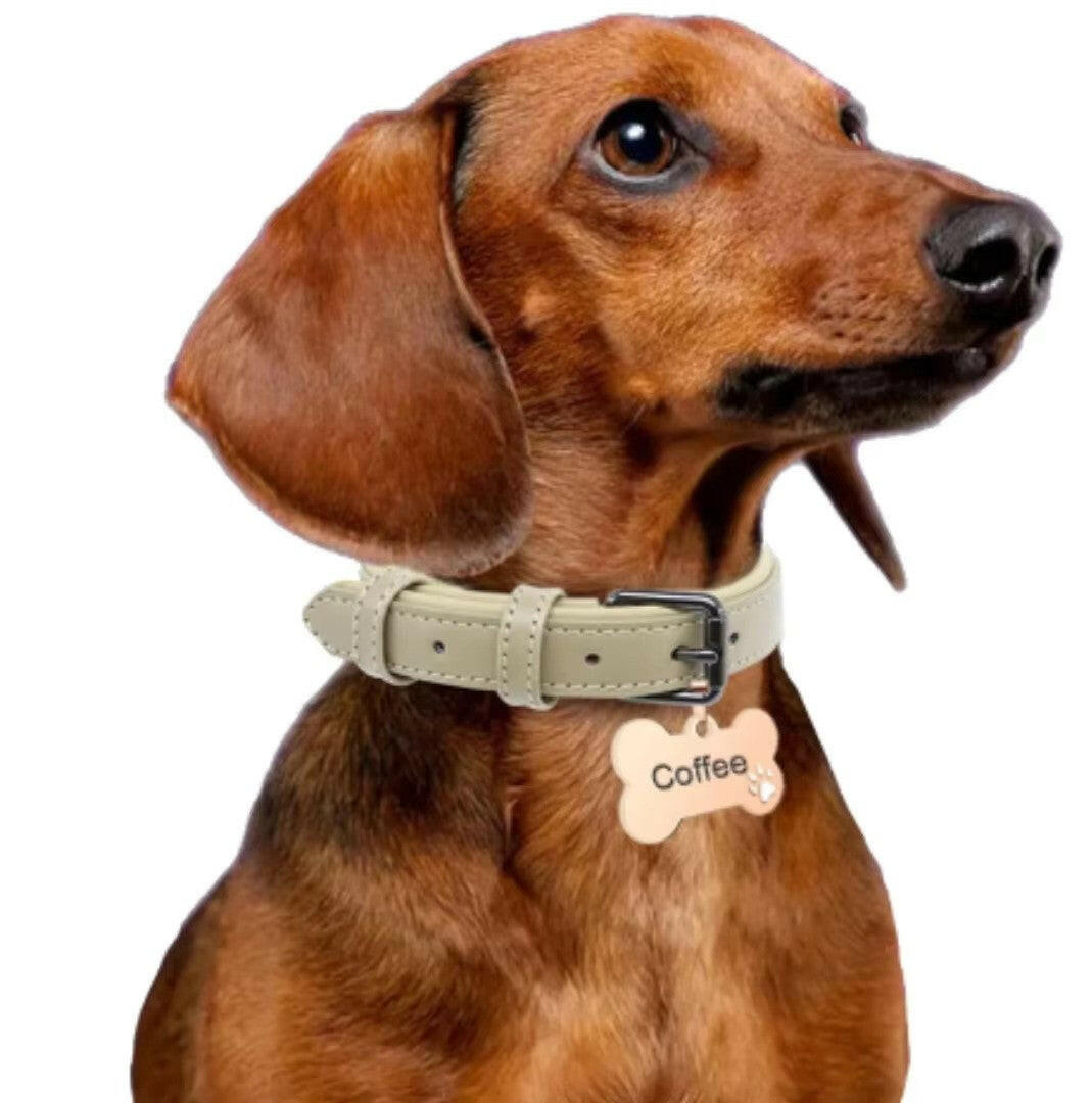 Personalized Stainless Steel Dog Tag