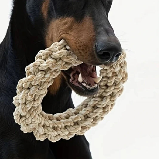 Tough rope toy for dogs