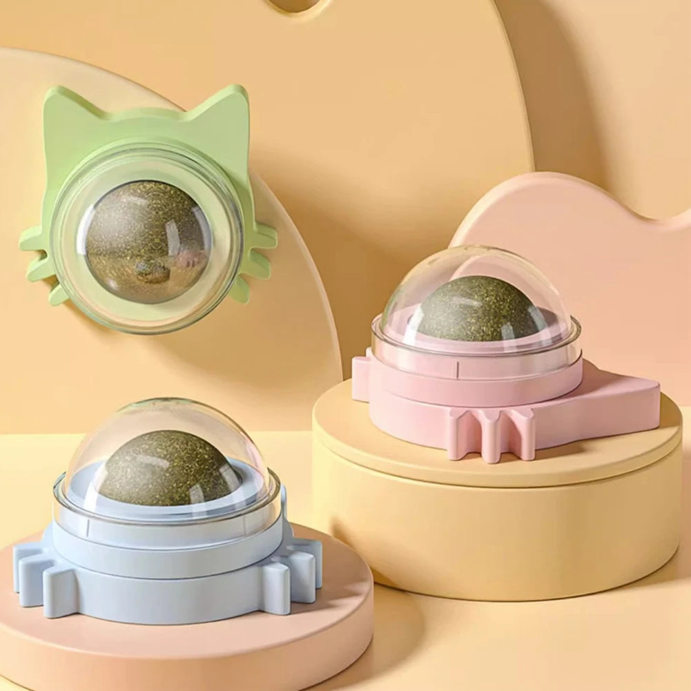 Catnip Lollipop Cat Treat