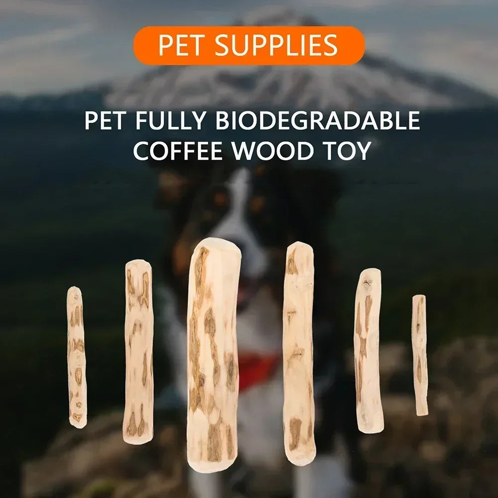 Eco-Friendly Wooden Chew Stick for Dogs