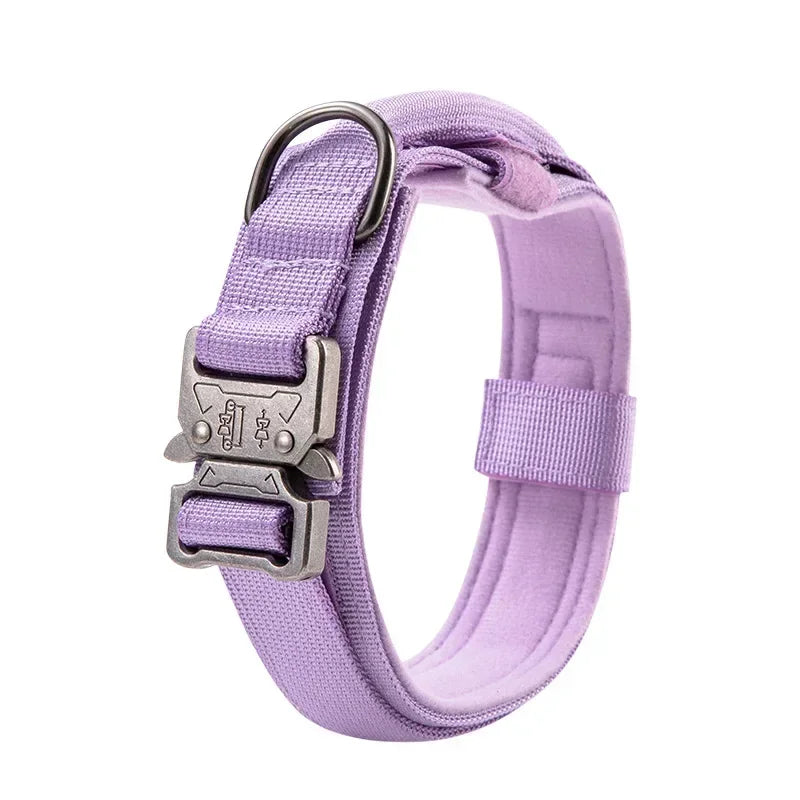 Strong Dog Collar with Traction Handle