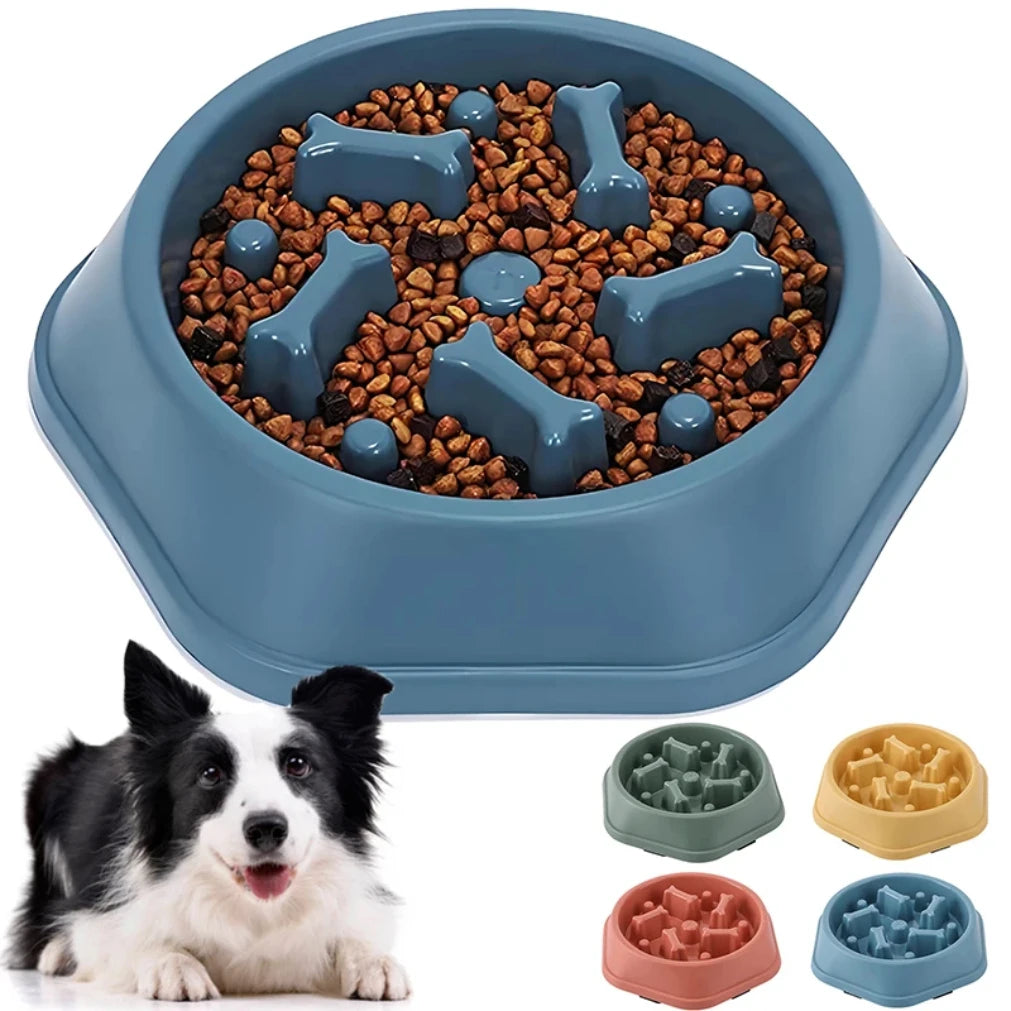 Slow Feeder Dog Bowl.