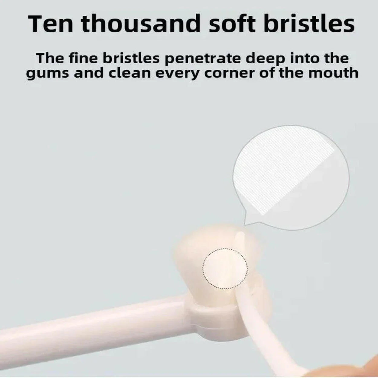 Round Head Pet Toothbrush