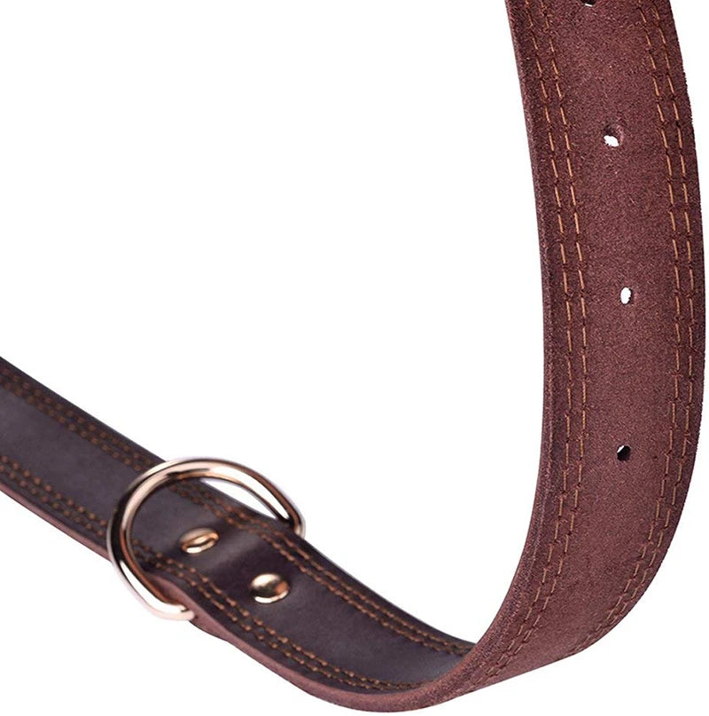 Leather Dog Collar