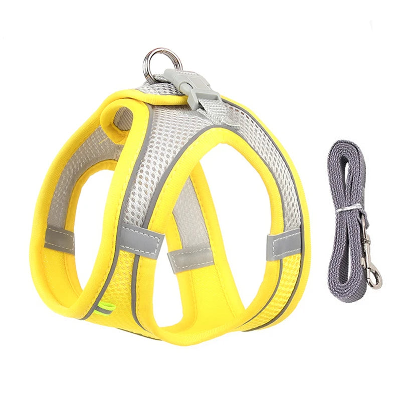 Small Dog Walking Harness