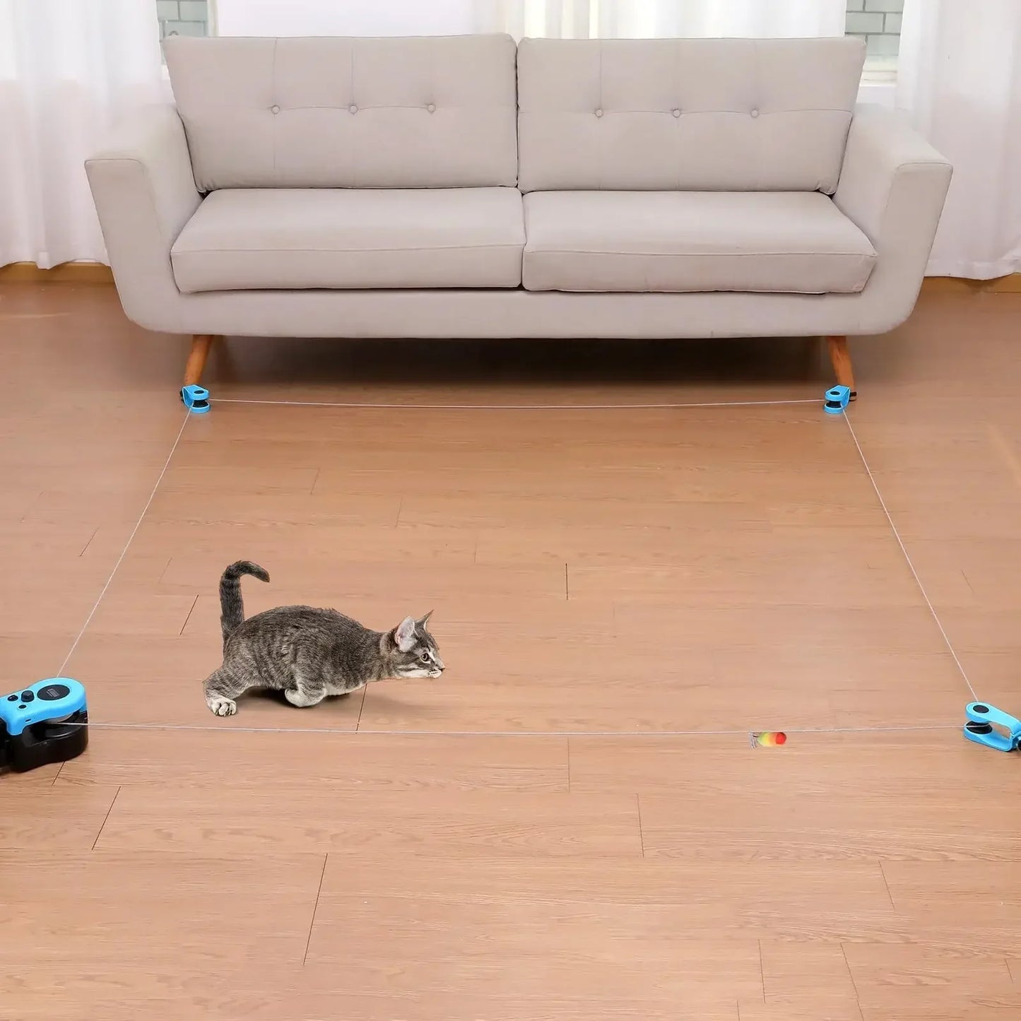 Interactive Cat Exercise Wheel for Indoor Cats