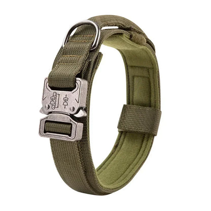 Strong Dog Collar with Traction Handle
