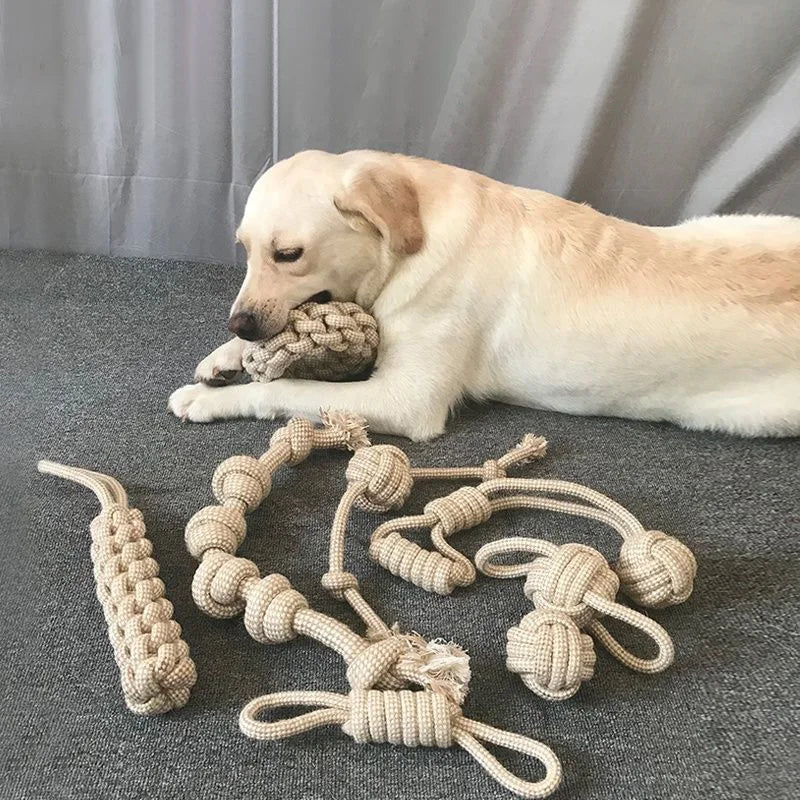 Pet Knot Toy.