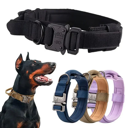 Strong Dog Collar with Traction Handle