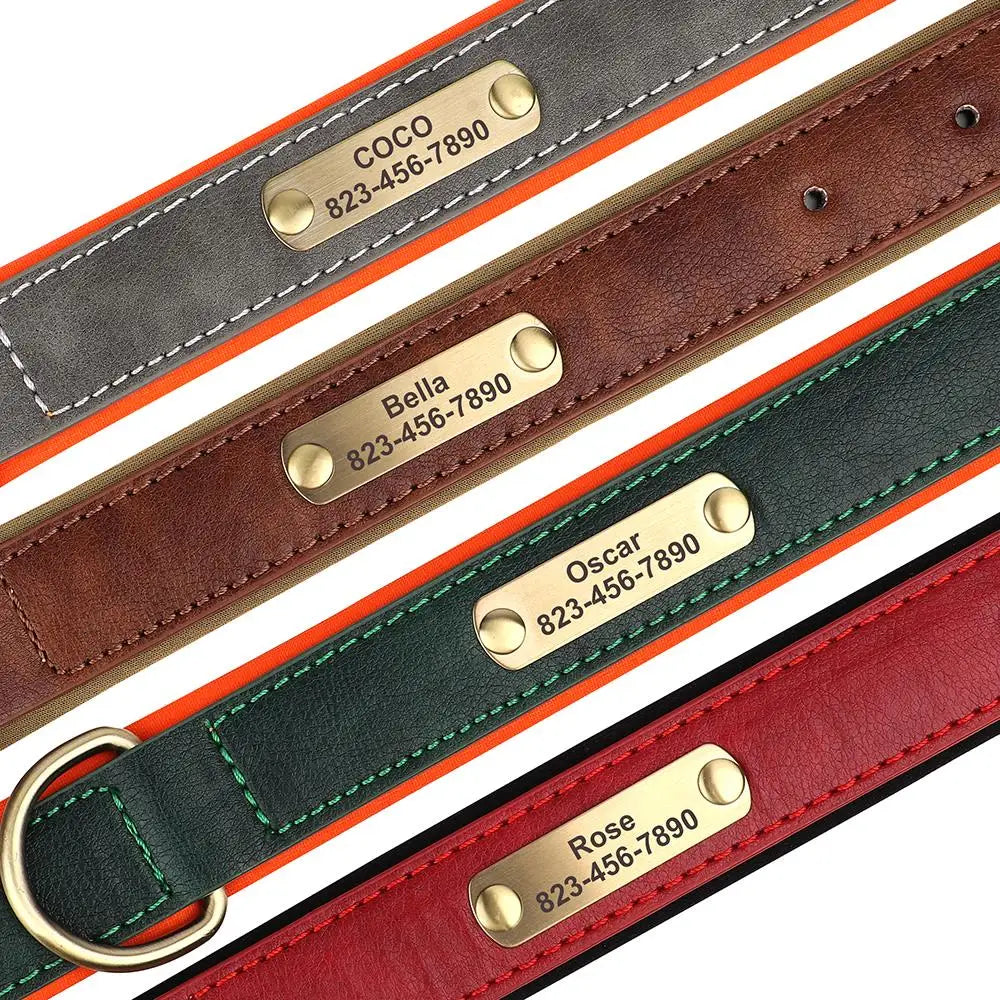 Personalized Dog Collar with ID Tag