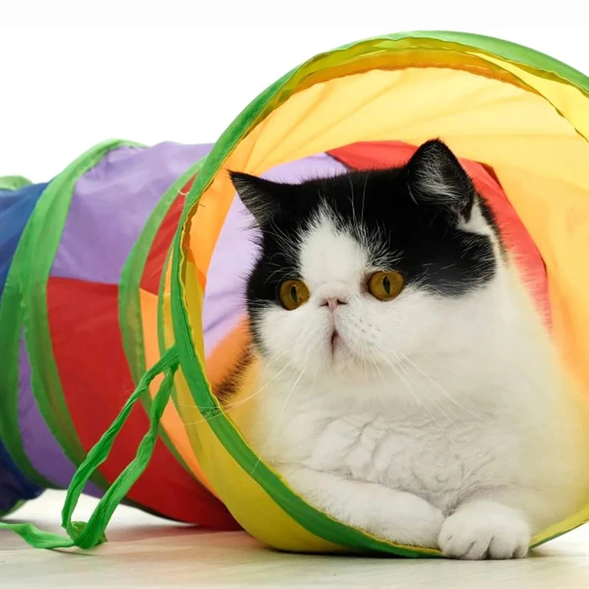 Interactive Cat Play Tunnel