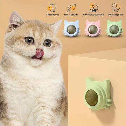 Catnip Lollipop Cat Treat