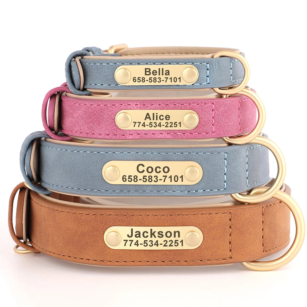 Personalized Dog Collar with ID Tag