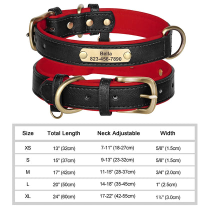 Personalized Dog Collar with ID Tag