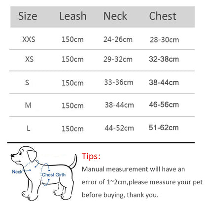 Small Dog Walking Harness