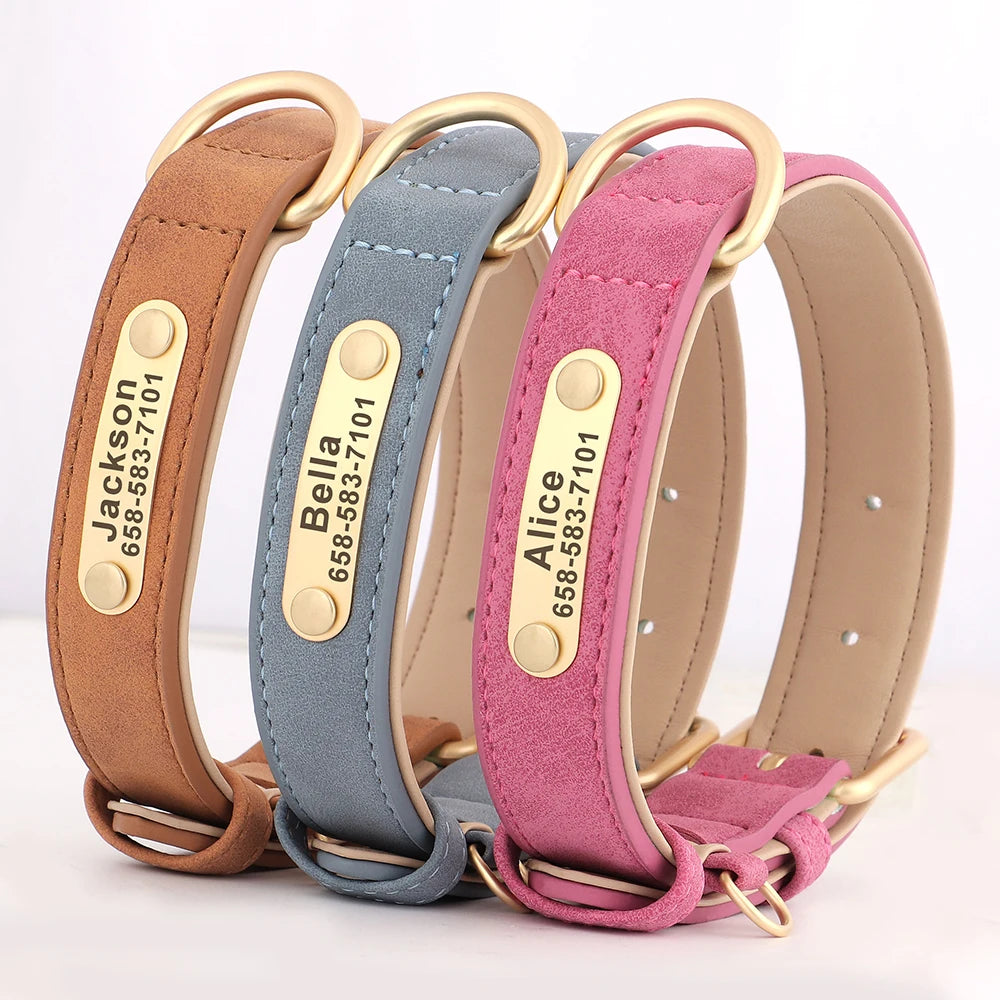 Personalized Dog Collar with ID Tag