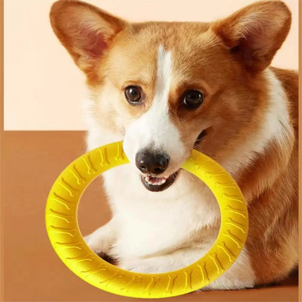 Durable Dog Flying Ring.