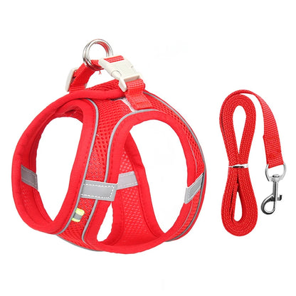 Small Dog Walking Harness