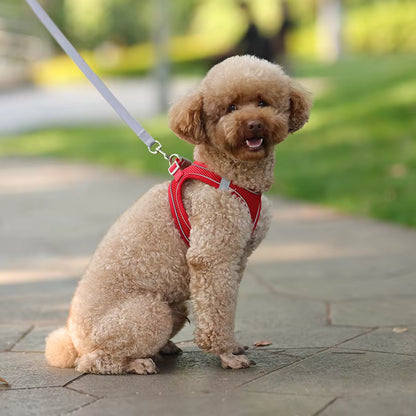 Small Dog Walking Harness