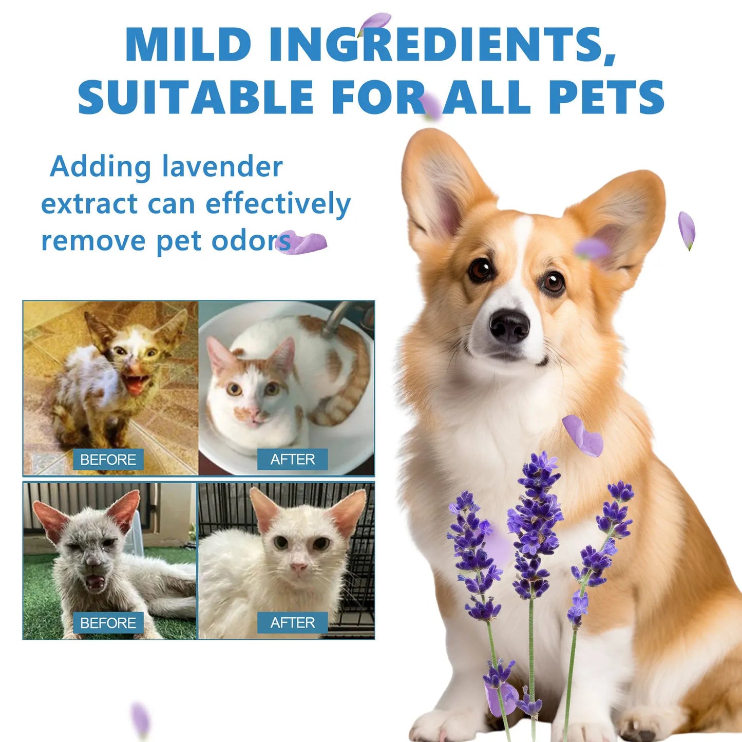 Deodorizing Pets Wash.