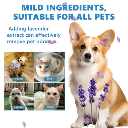 Deodorizing Pets Wash.