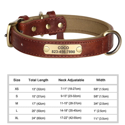 Personalized Dog Collar with ID Tag