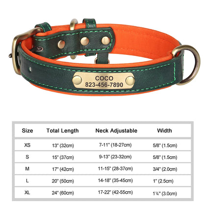 Personalized Dog Collar with ID Tag