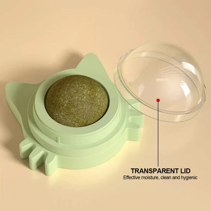 Catnip Lollipop Cat Treat