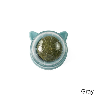 Catnip Lollipop Cat Treat